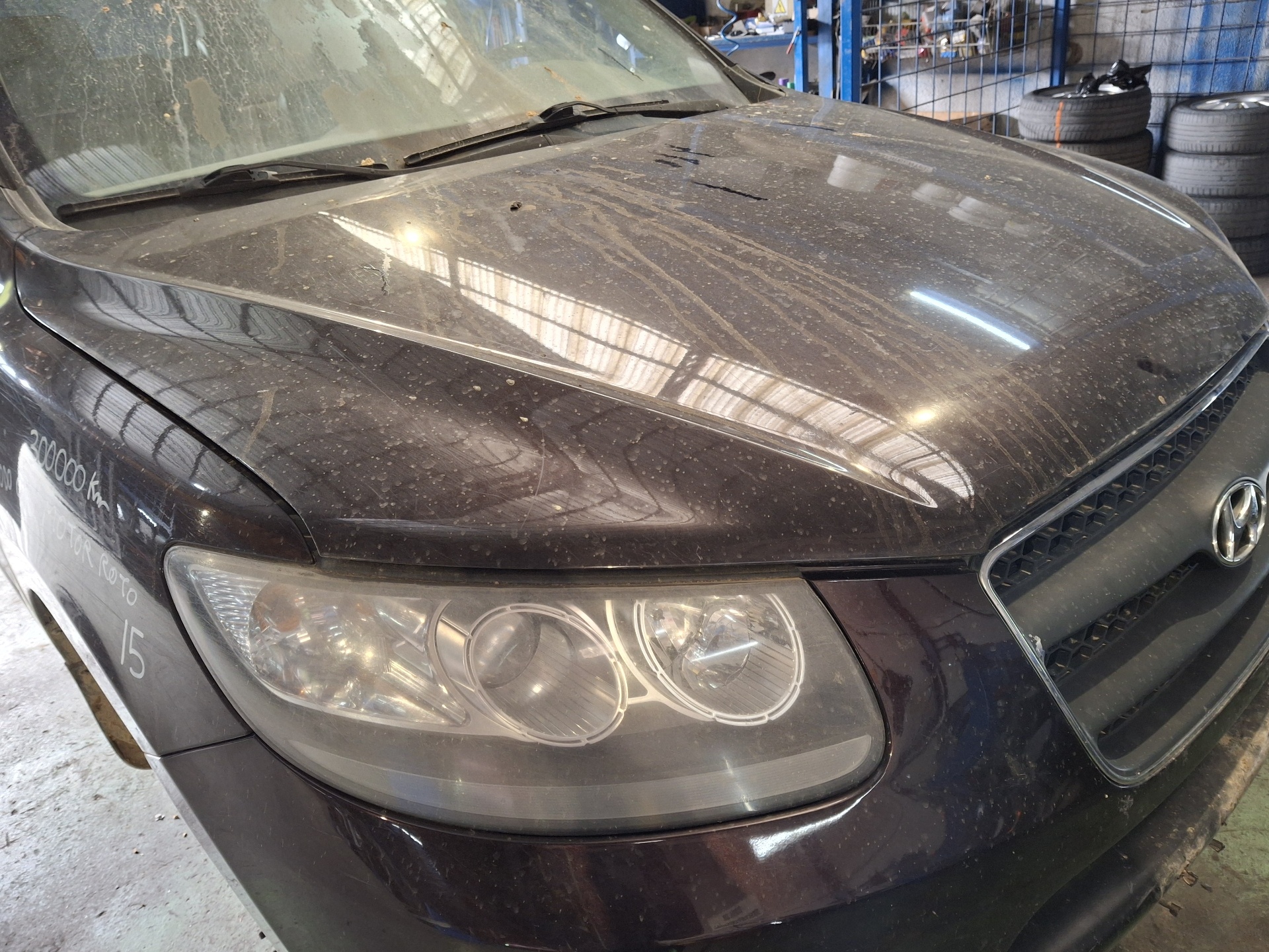 CAPO HYUNDAI SANTA D4EB