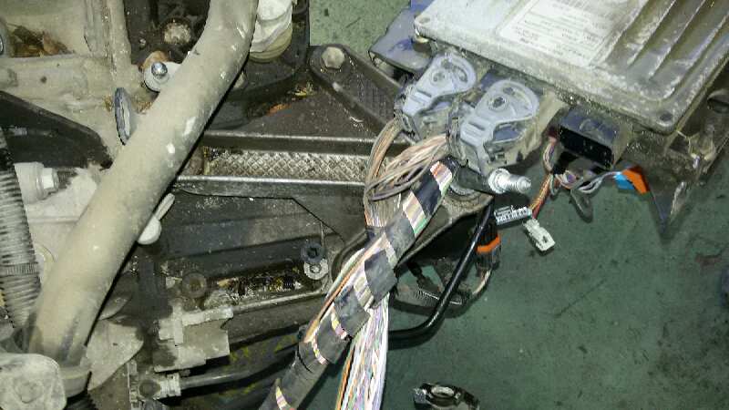 CAJA CAMBIOS RENAULT MEGANE K9K F7