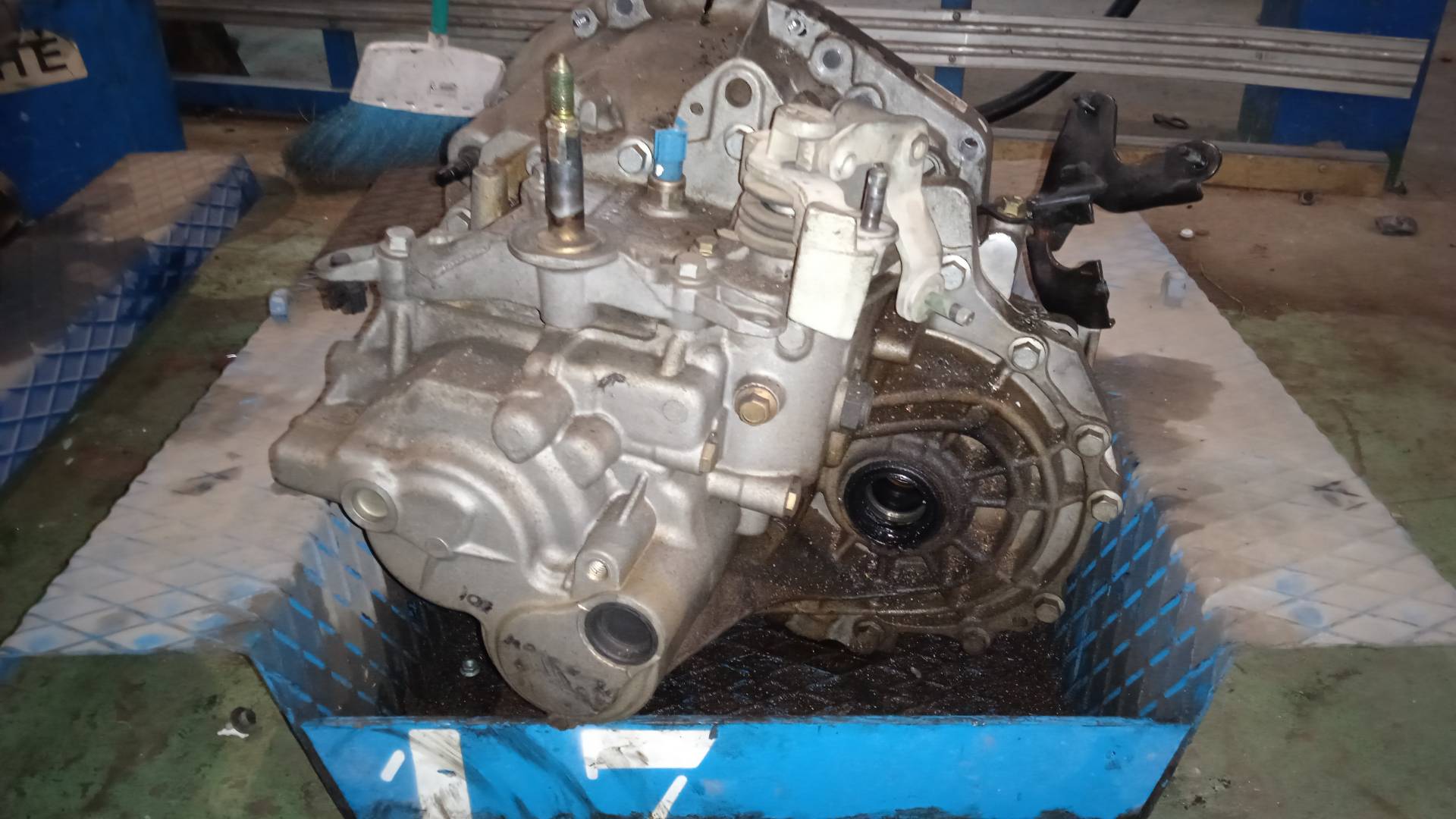 CAJA CAMBIOS NISSAN PRIMERA F9Q