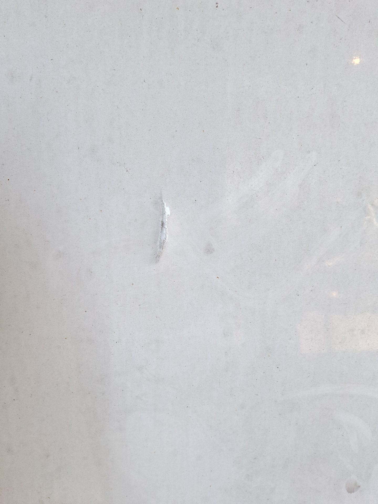 PORTON TRASERO FORD TRANSIT 