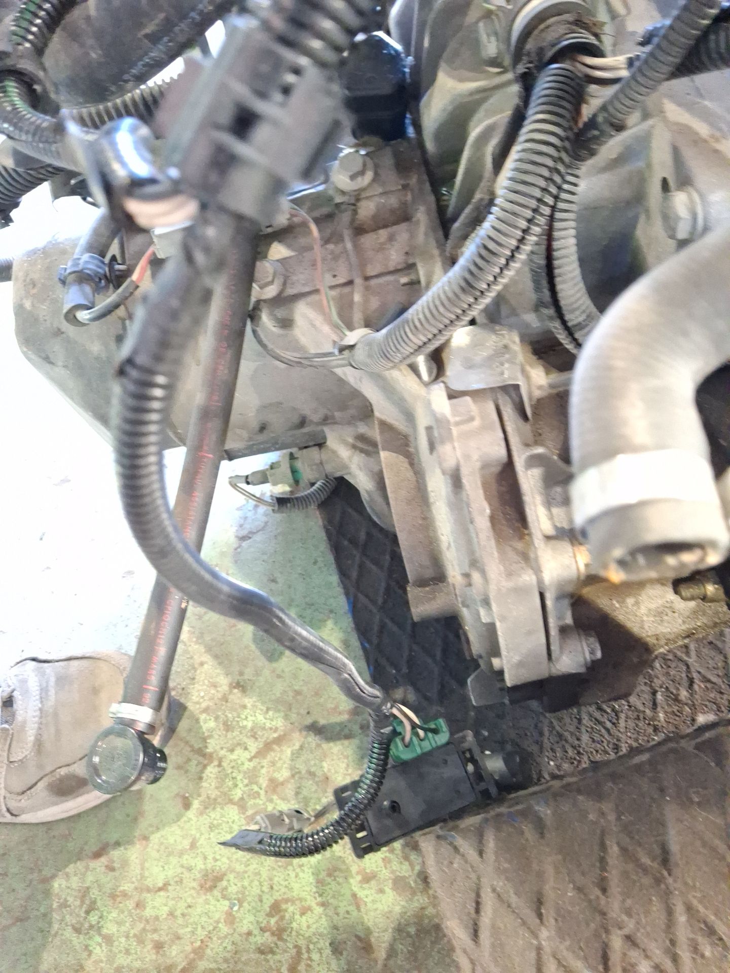 CAJA CAMBIOS RENAULT 19 