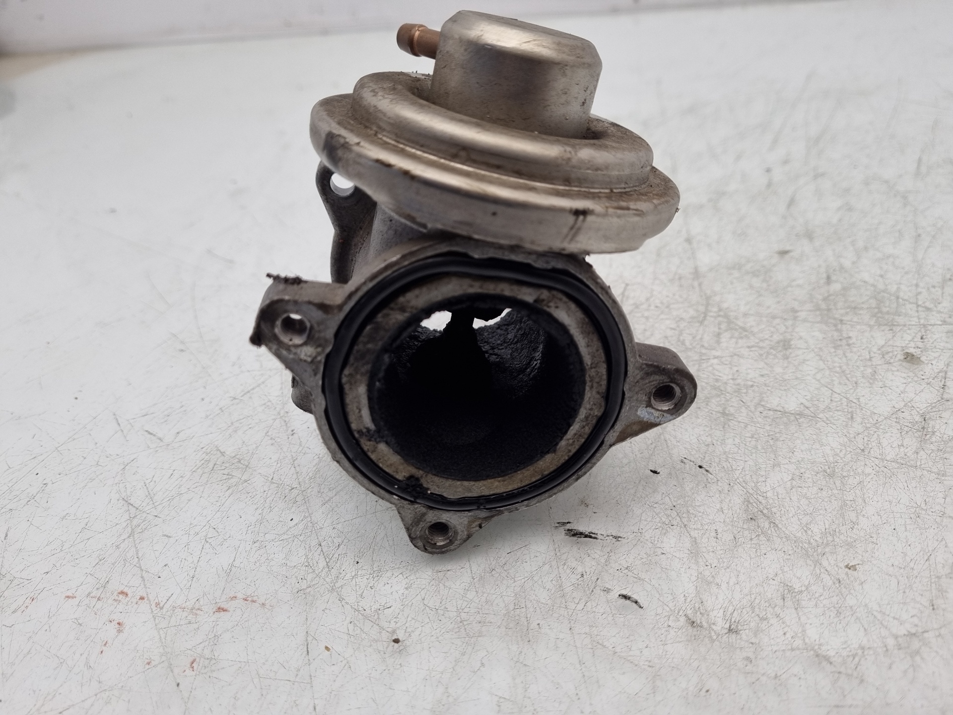 VALVULA EGR SEAT IBIZA BNV