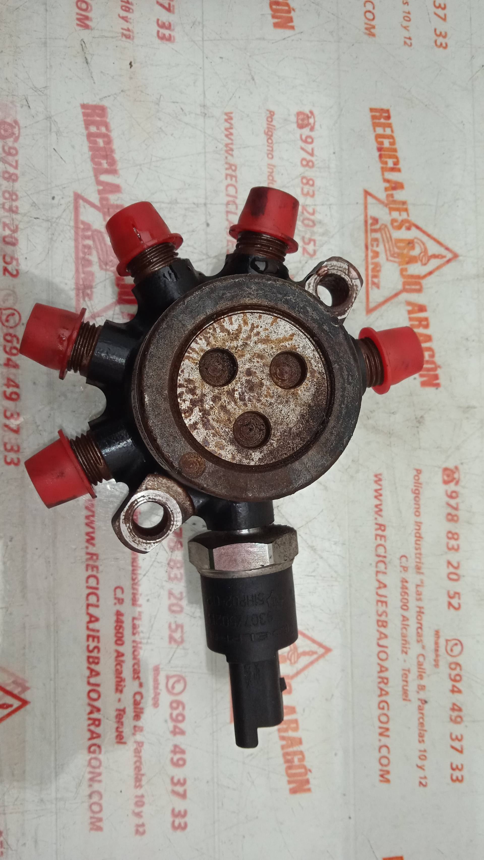 RAMPA INYECTORA FORD TOURNEO HCPB