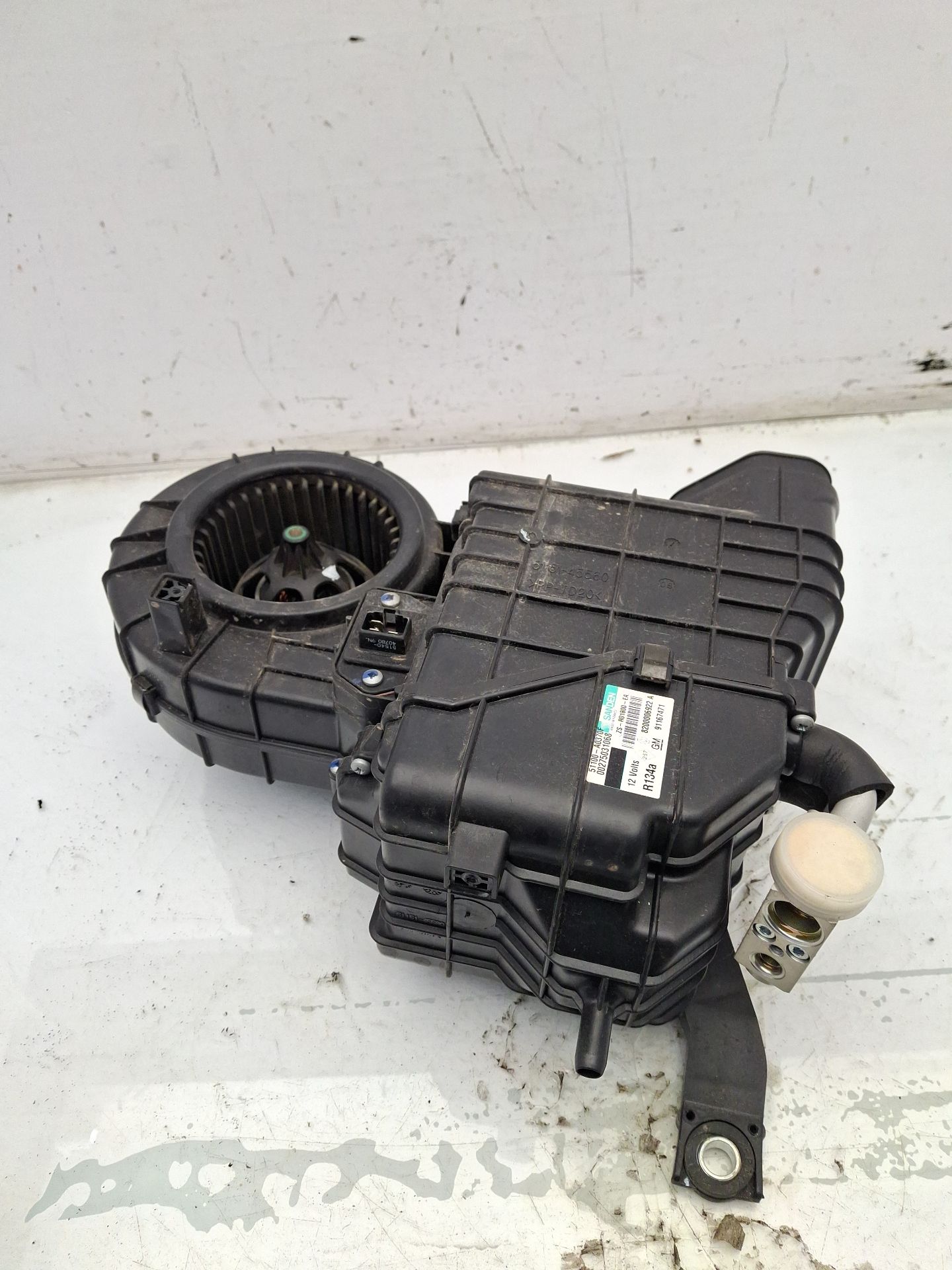 PORTON TRASERO RENAULT TRAFIC 