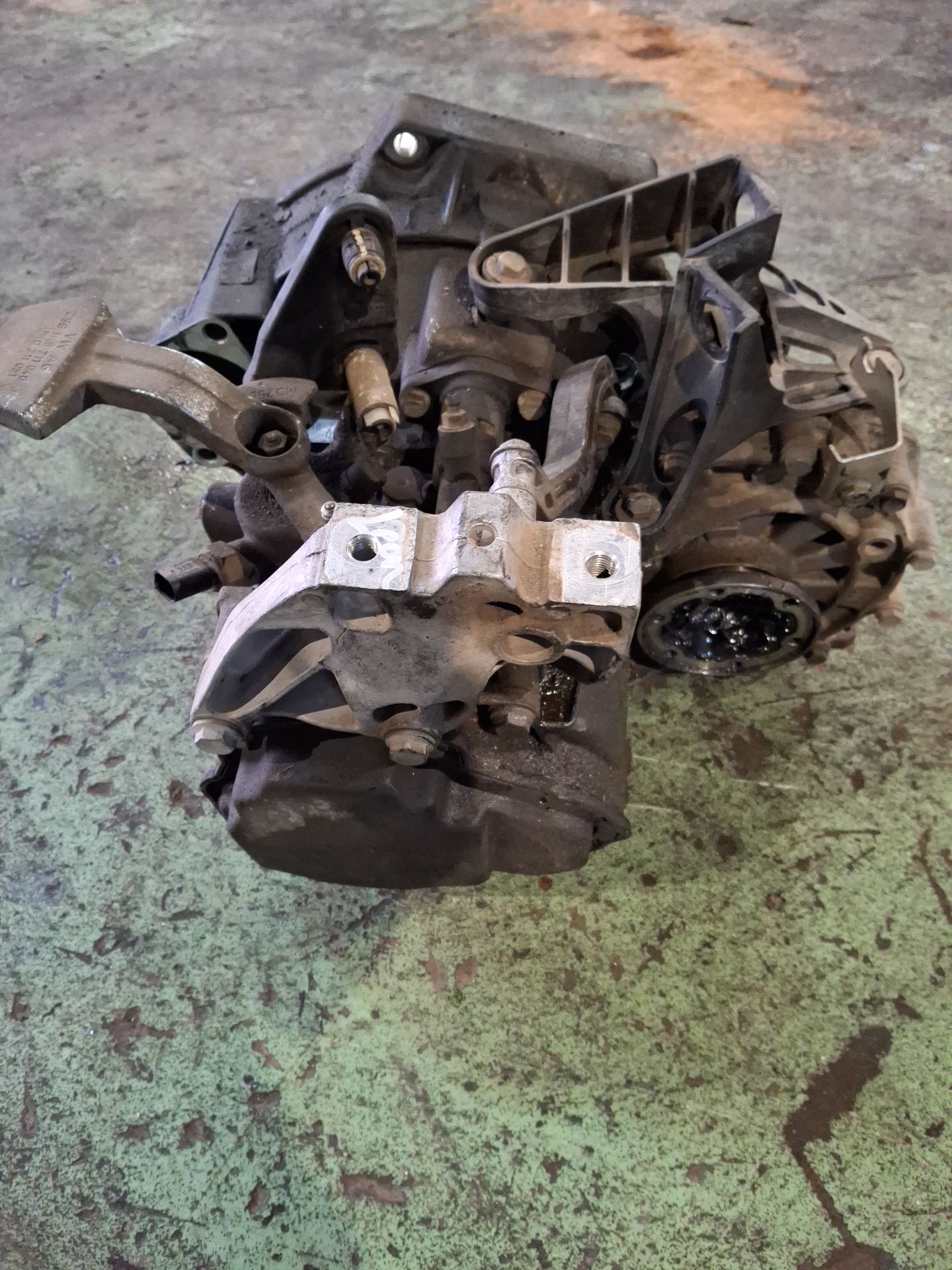 PILOTO TRASERO DERECHO SEAT LEON 