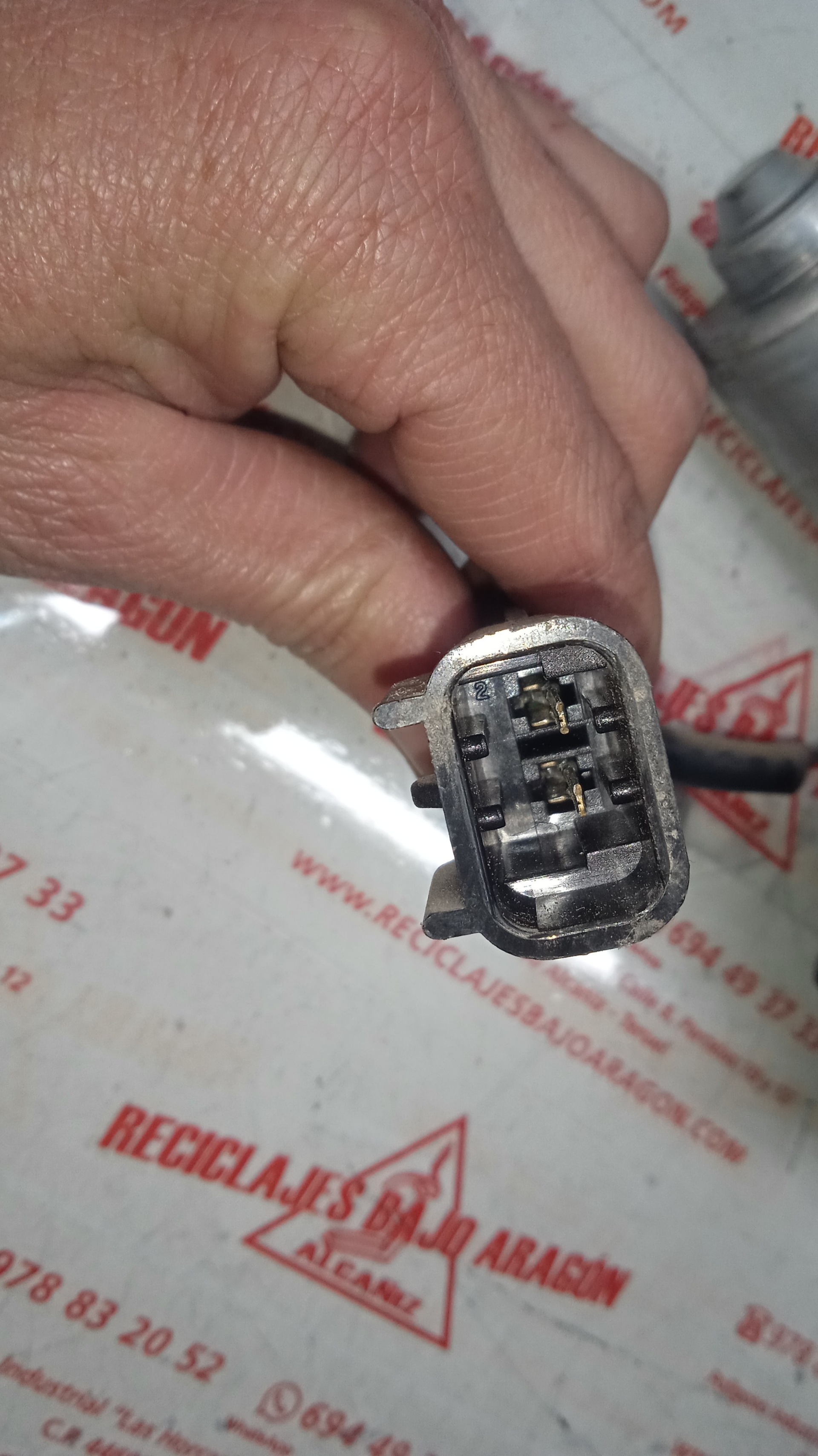 ELEVALUNAS DELANTERO DERECHO RENAULT SC?NIC K 4M A7