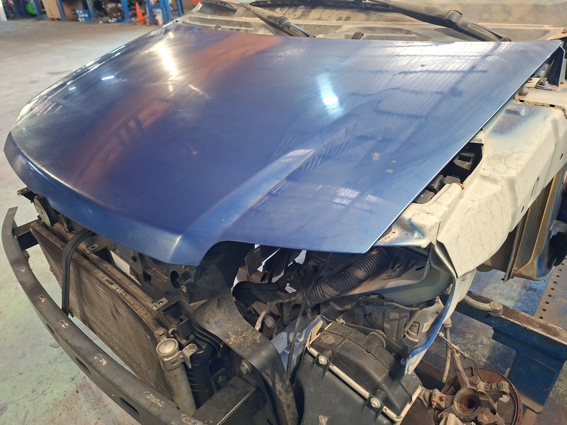 CAPO FIAT PANDA 