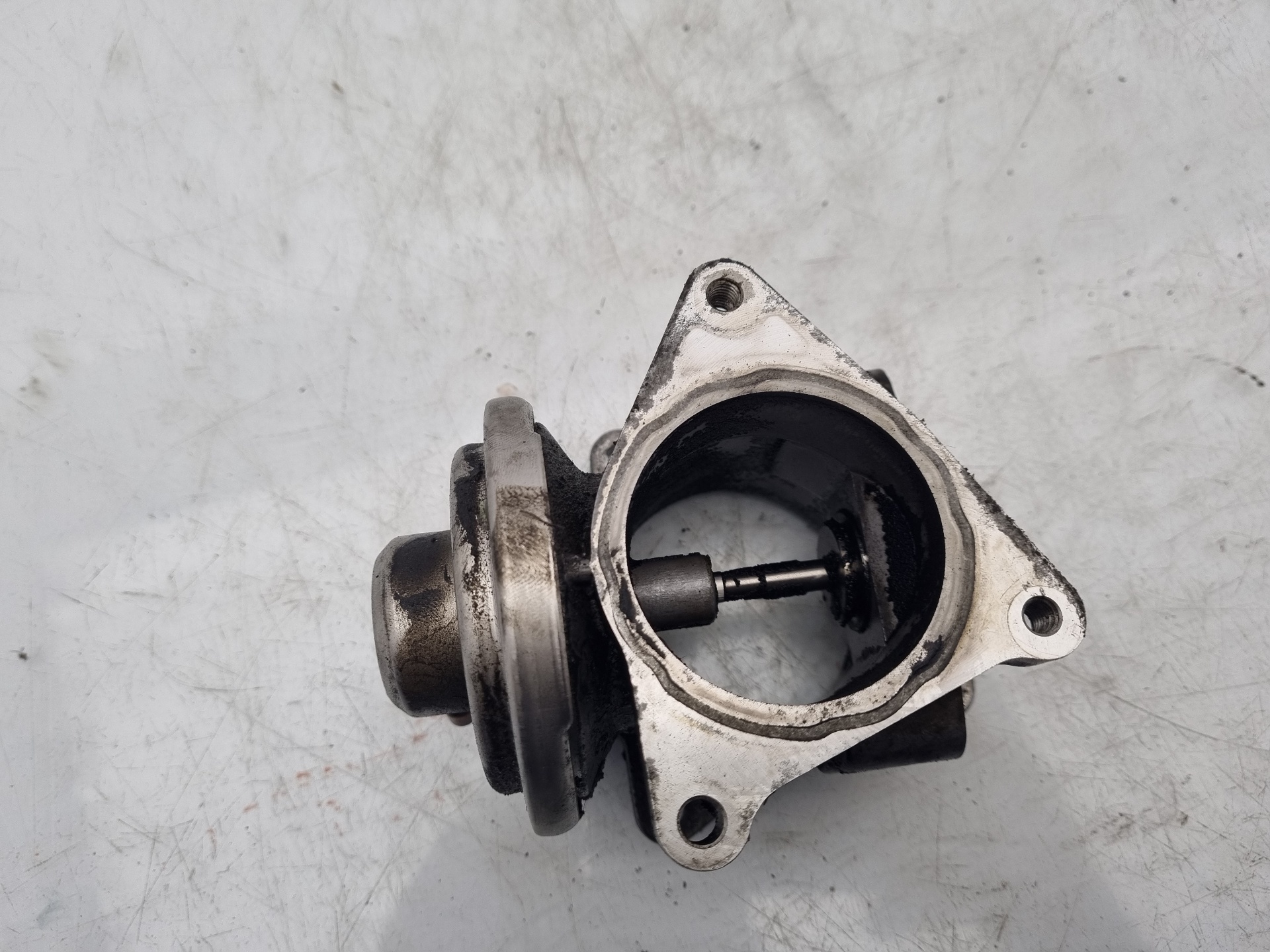 VALVULA EGR VOLKSWAGEN PASSAT 