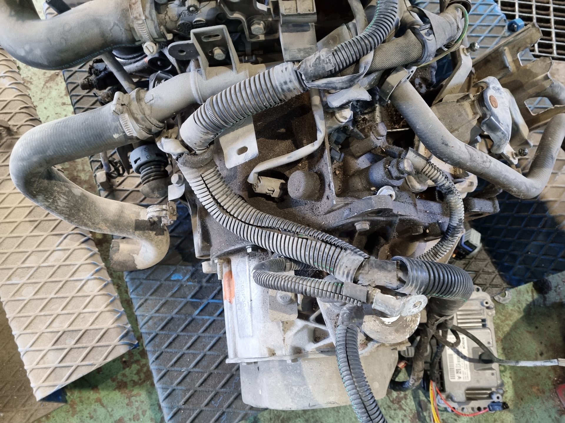 CAJA CAMBIOS CITROEN XSARA NFU (TU5JP4)