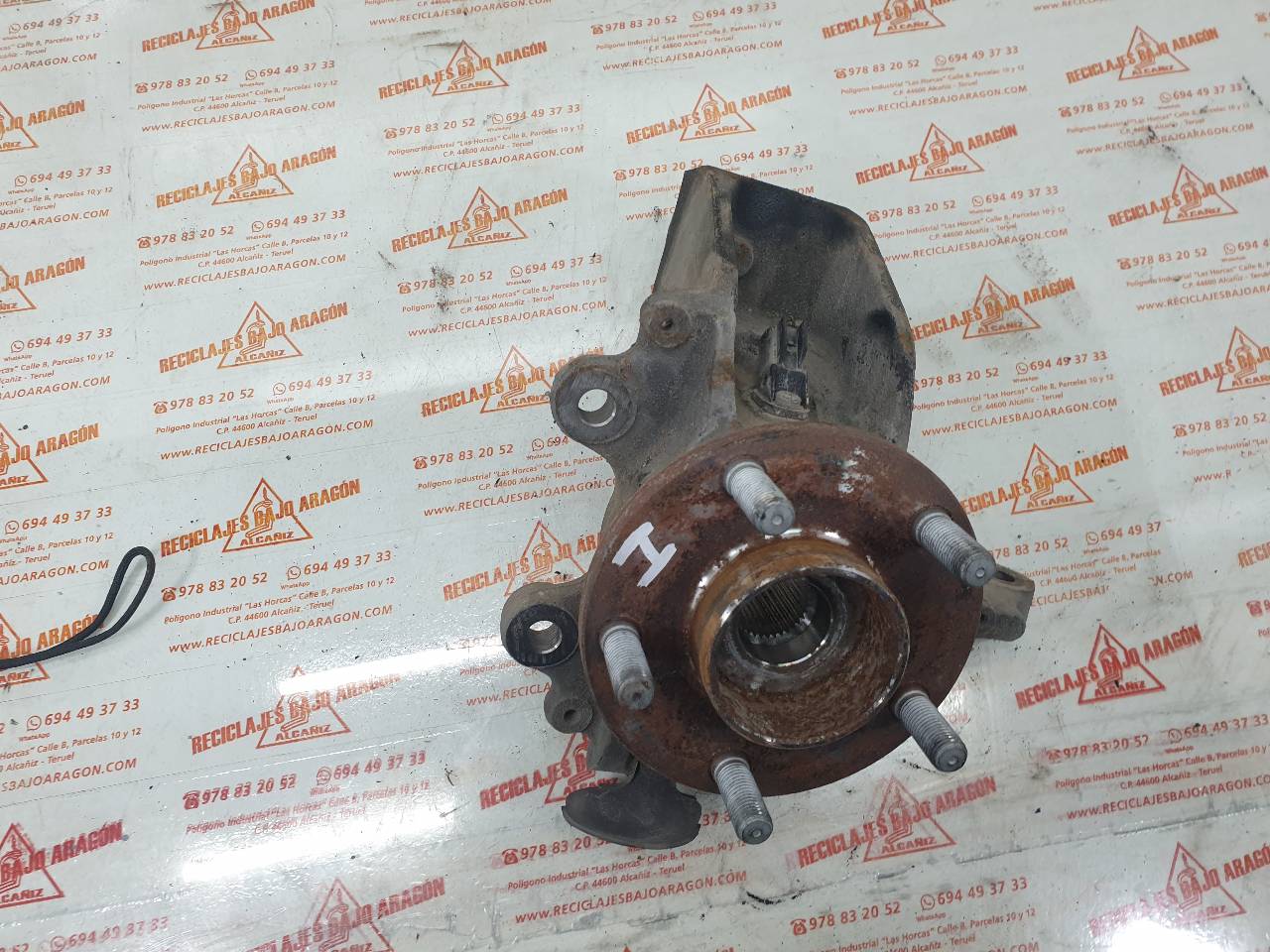 MANGUETA DELANTERA IZQUIERDA FORD FOCUS 