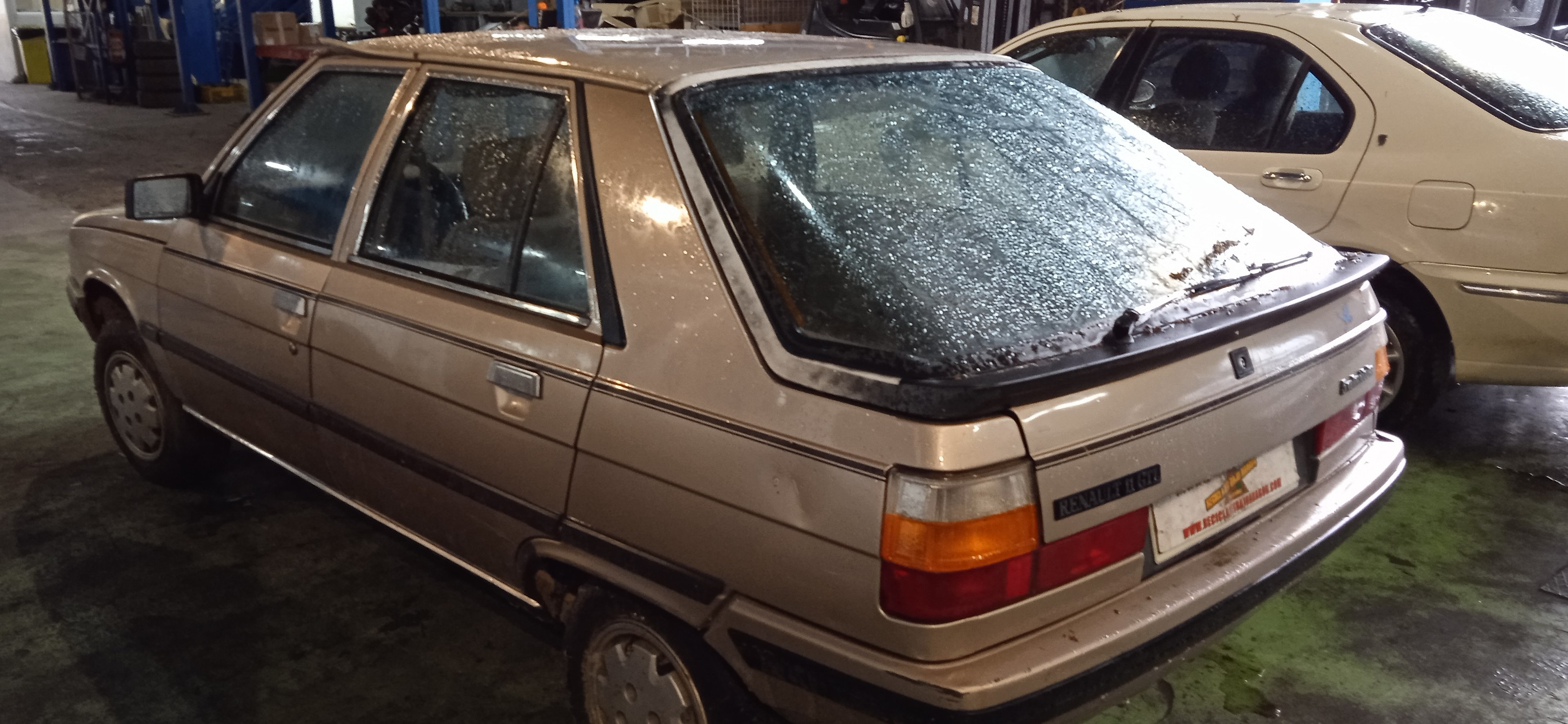 REJILLA DELANTERA RENAULT 11 C1J