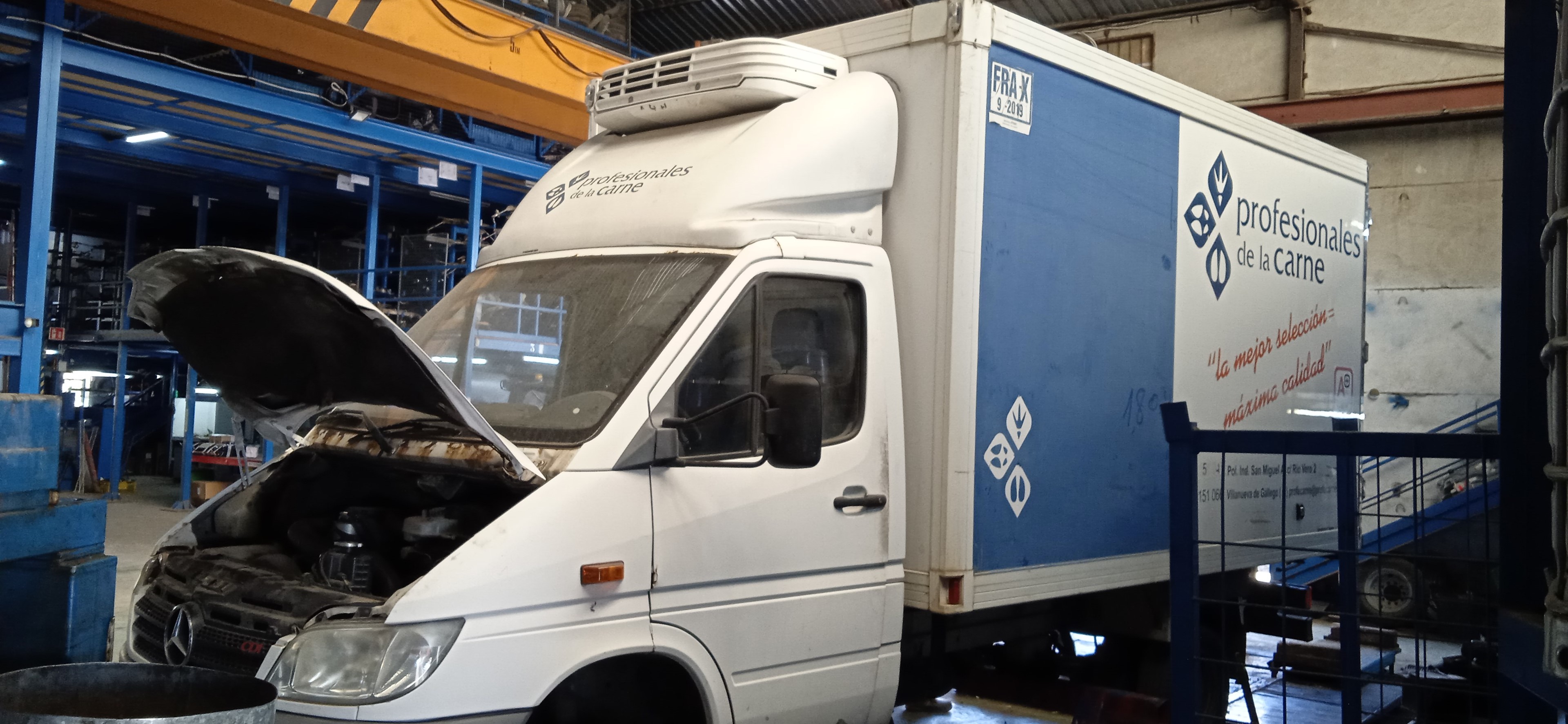 ELEVALUNAS DELANTERO DERECHO MERCEDES-BENZ SPRINTE D 611981